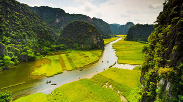 Những cánh đồng lúa chín tuyệt đẹp từ góc nhìn “nàng thơ của Tam Cốc”