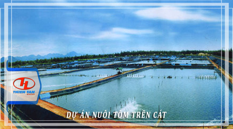 Dự án nuôi tôm trên cát