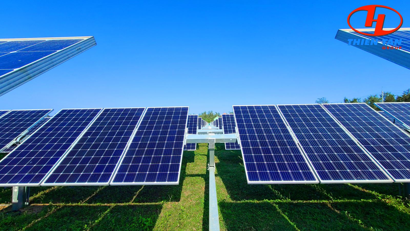 Công ty TNHH MTV Thiên Tân Solar Quảng Ngãi