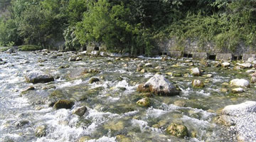 Những dòng sông ngắn nhất thế giới